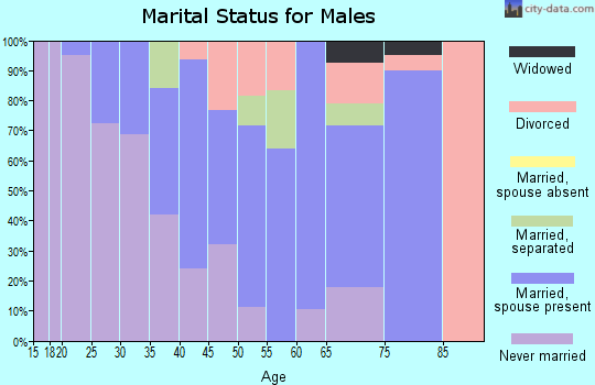 Zip code 12522 marital status for males