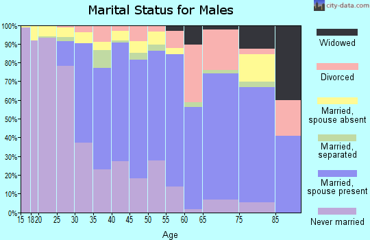 Zip code 12524 marital status for males