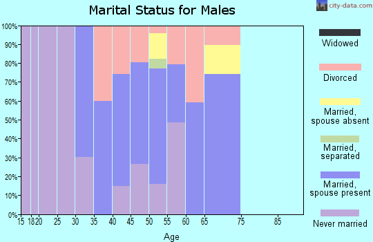 Zip code 12525 marital status for males