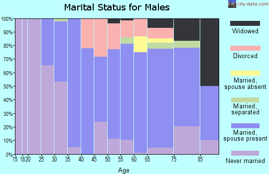 Zip code 12526 marital status for males