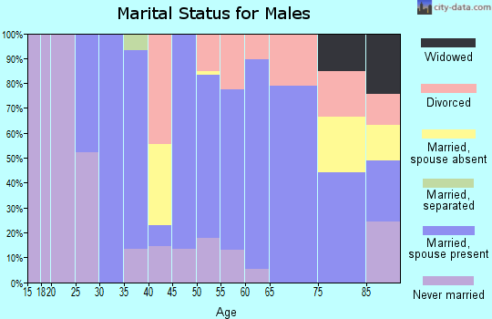 Zip code 12529 marital status for males