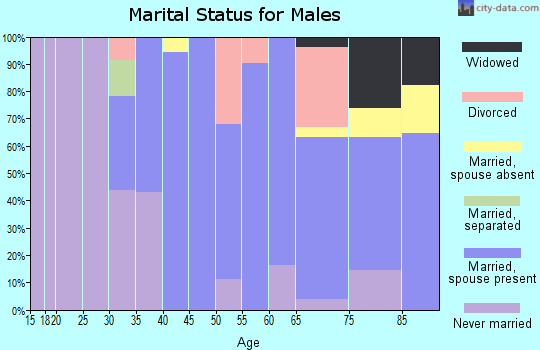 Zip code 12531 marital status for males