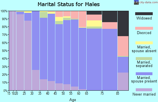 Zip code 12533 marital status for males