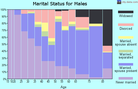 Zip code 12534 marital status for males