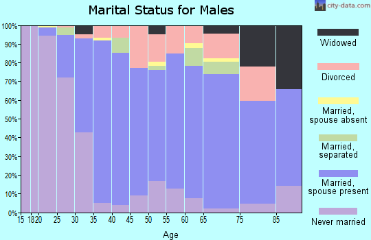 Zip code 12538 marital status for males