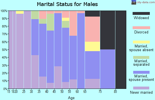 Zip code 12543 marital status for males