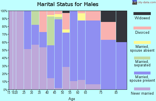 Zip code 12545 marital status for males