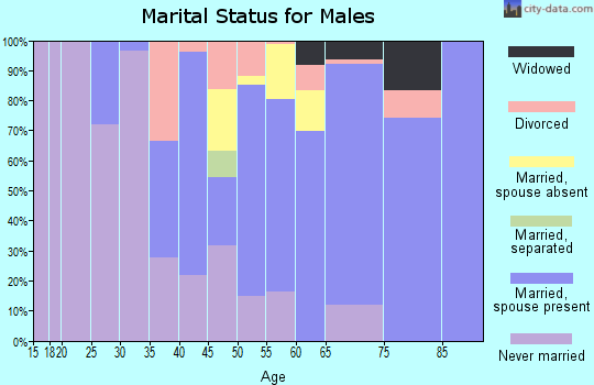 Zip code 12546 marital status for males