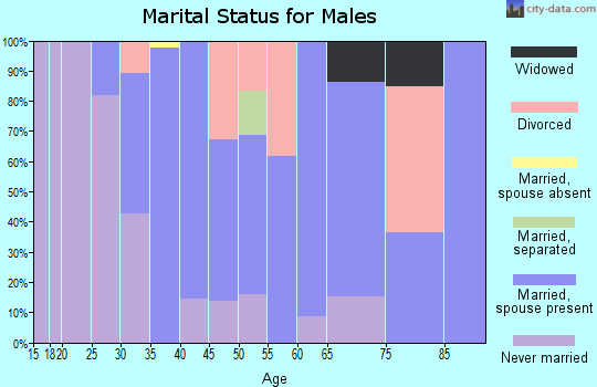 Zip code 12547 marital status for males