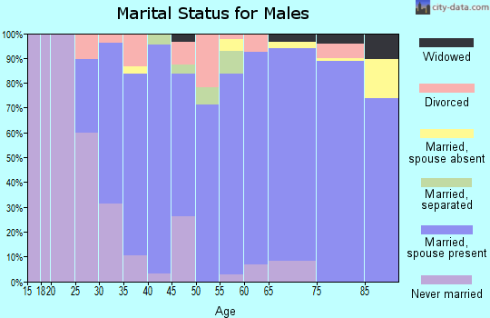Zip code 12549 marital status for males