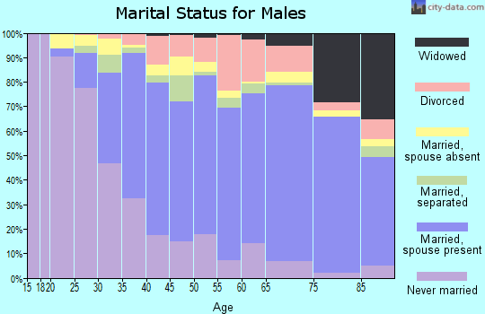Zip code 12550 marital status for males