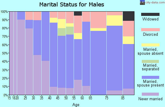 Zip code 12564 marital status for males