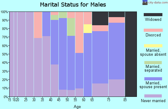 Zip code 12565 marital status for males