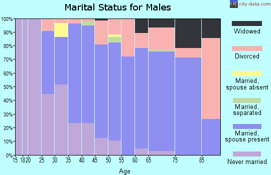 Zip code 12566 marital status for males