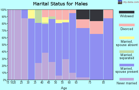 Zip code 12567 marital status for males