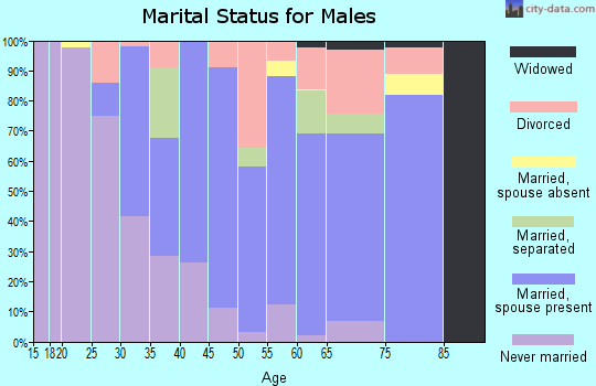 Zip code 12569 marital status for males