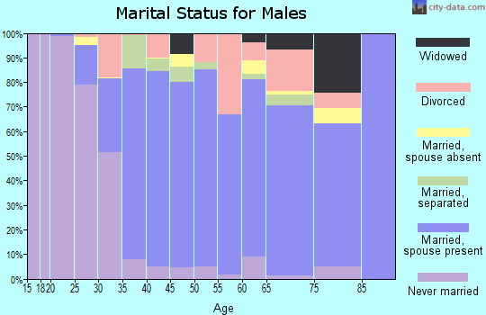 Zip code 12571 marital status for males