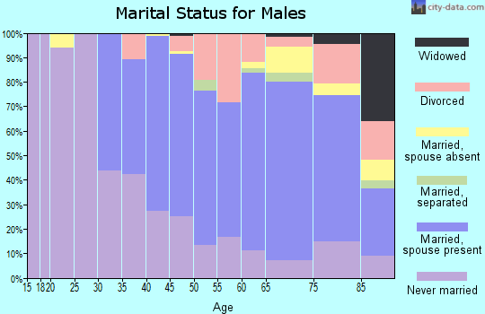 Zip code 12572 marital status for males