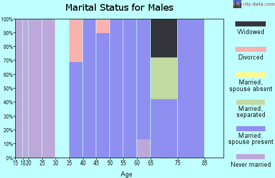 Zip code 12575 marital status for males