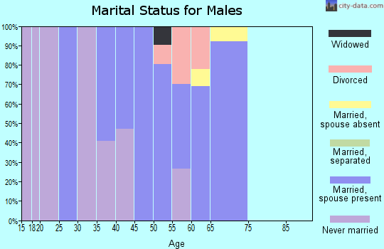 Zip code 12577 marital status for males