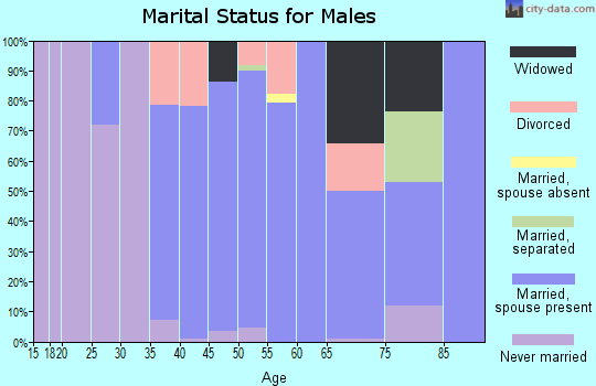 Zip code 12578 marital status for males