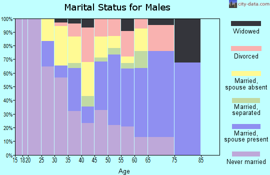 Zip code 12582 marital status for males