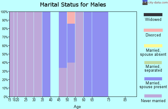 Zip code 12585 marital status for males