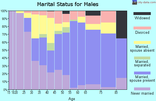 Zip code 12589 marital status for males