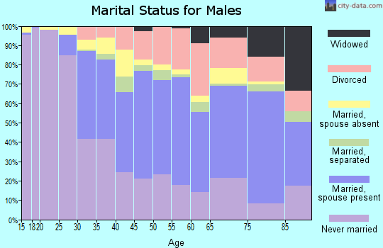 Zip code 12601 marital status for males