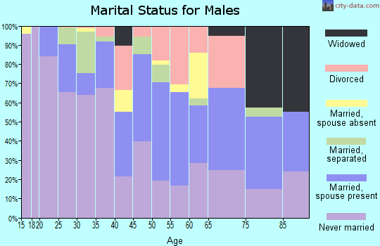 Zip code 12701 marital status for males