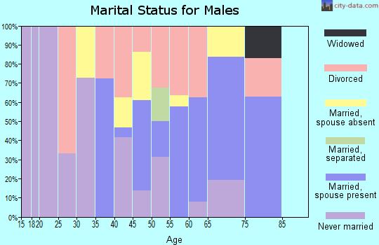 Zip code 12719 marital status for males