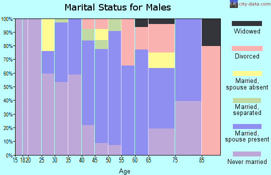 Zip code 12721 marital status for males