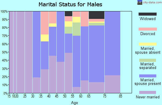 Zip code 12726 marital status for males
