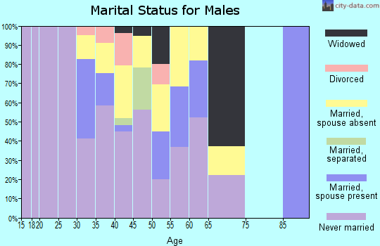 Zip code 12733 marital status for males