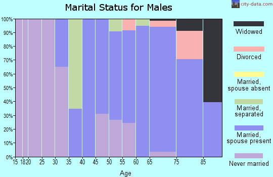 Zip code 12748 marital status for males