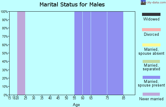 Zip code 12749 marital status for males