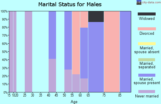 Zip code 12763 marital status for males