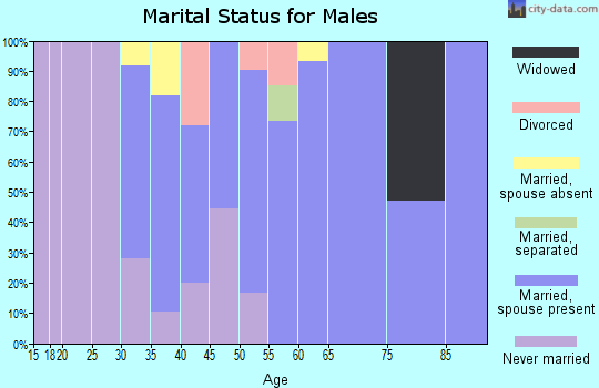 Zip code 12775 marital status for males