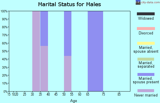 Zip code 12778 marital status for males