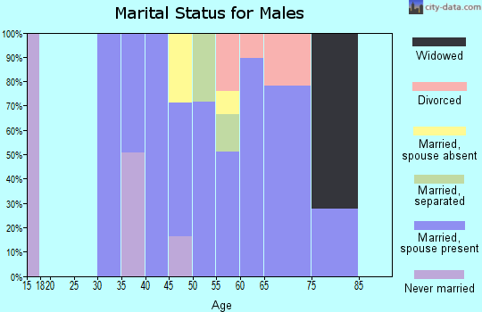 Zip code 12780 marital status for males