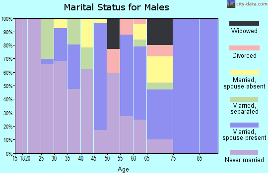 Zip code 12783 marital status for males