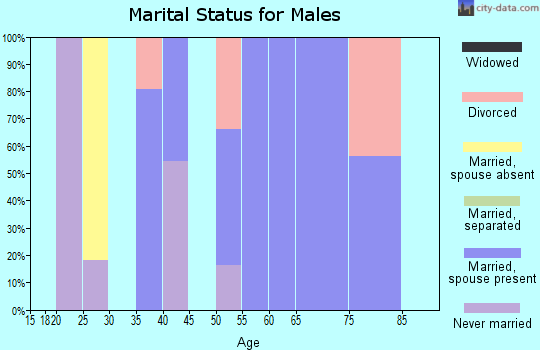 Zip code 12785 marital status for males