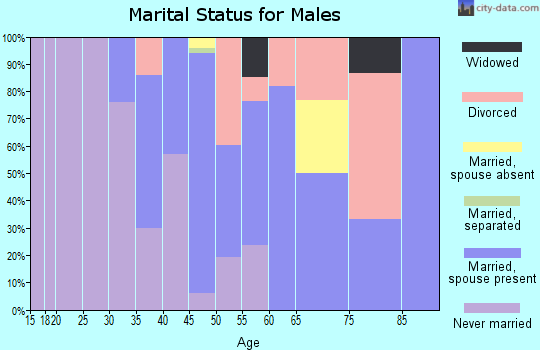 Zip code 12789 marital status for males