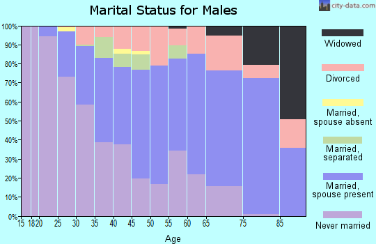 Zip code 12801 marital status for males
