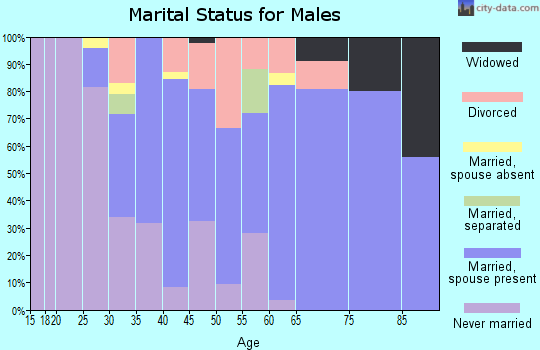 Zip code 12803 marital status for males