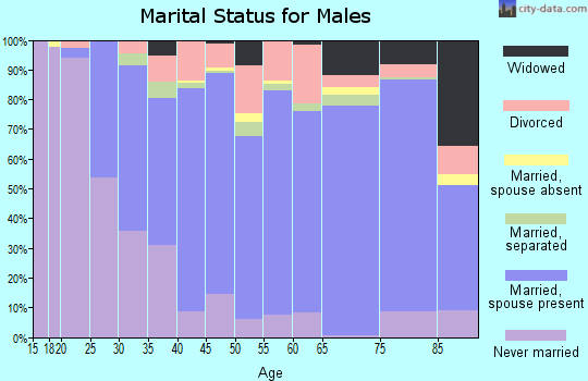 Zip code 12804 marital status for males