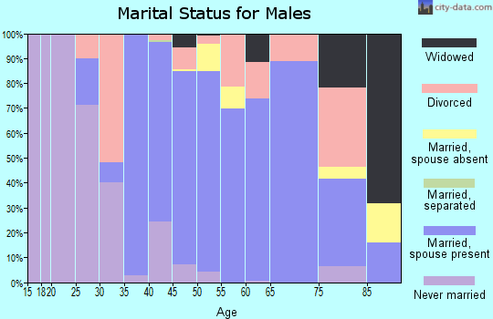 Zip code 12809 marital status for males