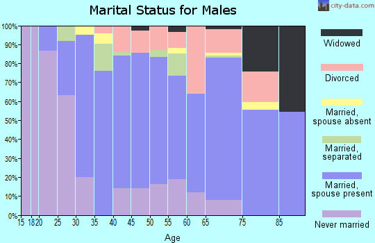 Zip code 12816 marital status for males