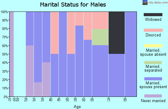 Zip code 12819 marital status for males