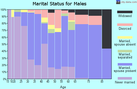 Zip code 12822 marital status for males